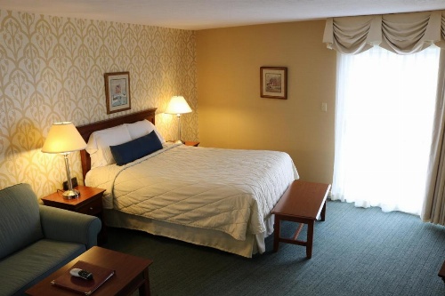 The Village Inn image 13